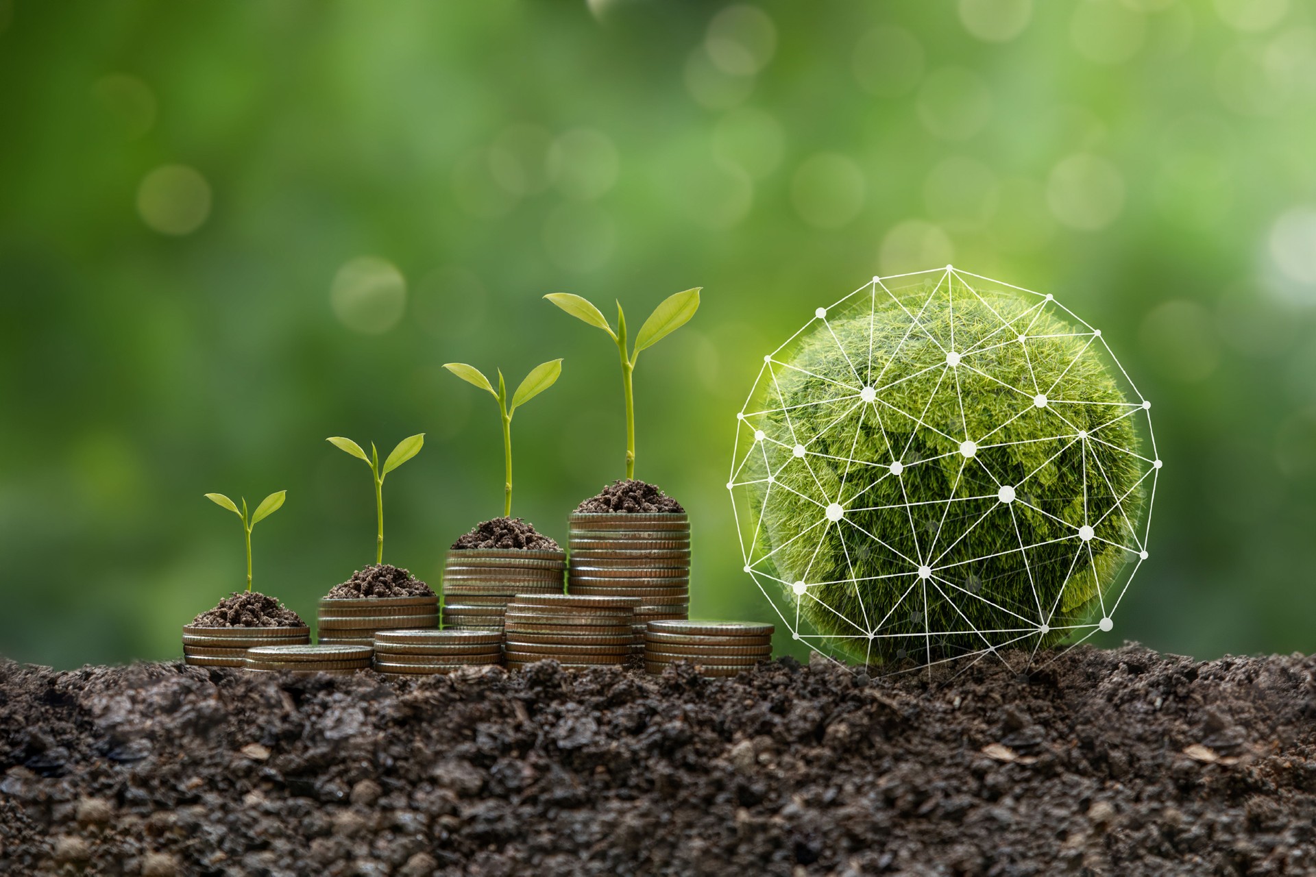 Green globe with Network connection and stack of silver coins and the seedlings are growing on top. Concept of Green business, finance and sustainability investment and Carbon credit. ESG. SDGs